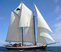 sailboat : classic sailing-yacht (schooner) TREE OF LIFE Covey Island Boatworks