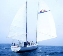 sailboat : cruising motorsailer-yacht (ketch) WYLIECAT 65 Wyliecat