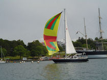 sailboat : cruising sailing-yacht (deck saloon, 3 cabins) 515 Nauticat