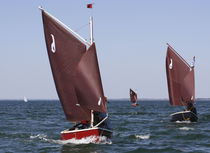 sailboat : day-sailer (trailerable) LA GAZELLE DES SABLE COTRE AURIQUE La GAZELLE DES SABLES