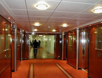 sandwich panel (for ship's ceiling)  MAPAC