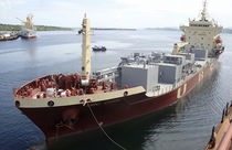 self loading and unloading system for bulk carrier ships (cement)  MacGregor Bulk