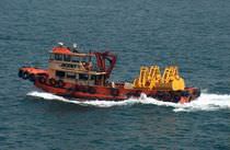 service boat : pilot-boat DUZGIT - 6 D&uuml;zgit