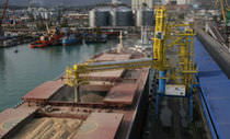 ship-loader 800 T/H GRAIN Neuero