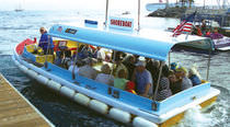 sightseeing boat ISLAND 30 Willard Marine