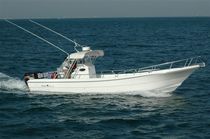 sport-fishing boat : outboard center console boat (twin engine, T-Top) 34 FEET  Al Dhaen Craft