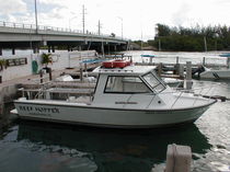 sport-fishing boat : express-cruiser ISLAND 30 Island Hopper International Boat Works, Inc.
