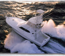 sport-fishing boat : express-cruiser (convertible) 45 CONVERTIBLE Rampage