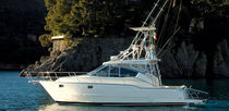 sport-fishing boat : flybridge open express-cruiser (T,Top) 11 FISHERMAN  Portofino