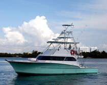sport-fishing boat : luxury motor-yacht (custom-made) 53' SPORT FISH Newton Boats