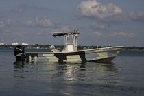 sport-fishing boat : outboard center console boat (T-Top, flybridge) TARPON 26 Panga Fishing Boats