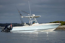 sport-fishing boat : outboard center console boat (twin engine, T-Top) CATALINA 29 Chris Craft