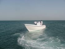 sport-fishing boat : outboard center console boat (twin engine, T-Top) 31 FEET Al Dhaen Craft