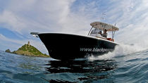 sport-fishing boat : outboard center console boat (twin engine, T-Top) TENDERFISH 28� TTOP Black Pepper