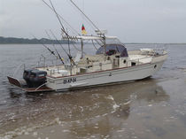 sport-fishing boat : outboard center console boat (twin engine, T-Top) V10 PECHE BEACHER CONCEPT 