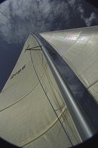 sport multihull sail  Aquarius Sail