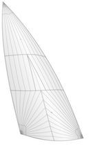 sport multihull sail : asymmetric spinnaker (FORMULA 16) Radial Sail Innovation