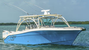 center console monohull boat / outboard / sport-fishing / with T-top