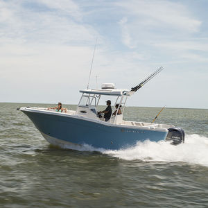 center console monohull boat / sport-fishing / with T-top