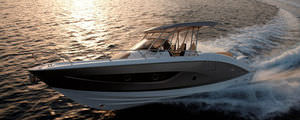 outboard walkaround / twin-engine / center console / 10-person max.