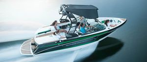 inboard runabout / bow-rider / wakeboard / 12-person max.