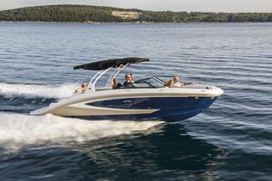 inboard deck boat / 15-person max. / sundeck