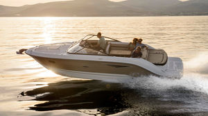 inboard runabout / sport / 8-person max.