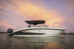 outboard deck boat / 15-person max. / sundeck / with T-top