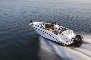 outboard runabout / bowrider / 11-person max.