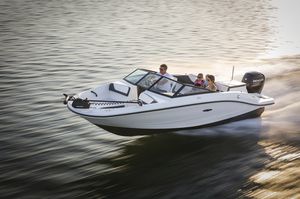 outboard runabout / bow-rider / 11-person max.