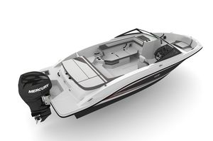 outboard runabout / bowrider / sport / 12-person max.