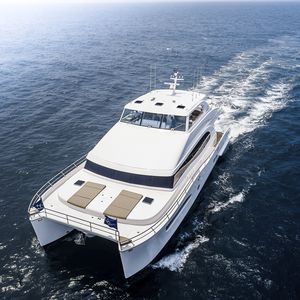 power catamaran motor yacht / cruising / flybridge