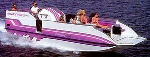 inboard pontoon boat / sterndrive