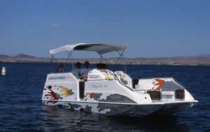inboard pontoon boat / sterndrive