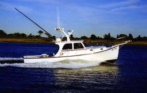 inboard express cruiser / downeast
