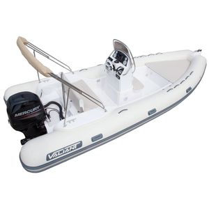 outboard inflatable boat / rigid / center console / 10-person max.