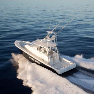 inboard express cruiser / flybridge / sport-fishing