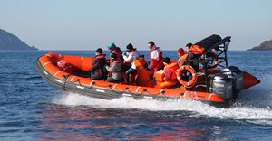 outboard rescue boat / twin-engine / inflatable boat / semi-rigid