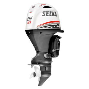 boating engine / outboard / gasoline / 4-stroke