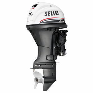 boating engine / outboard / gasoline / 4-stroke