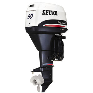 outboard engine / gasoline / 2-stroke