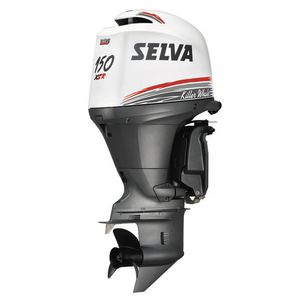 boating engine / outboard / gasoline / 4-stroke