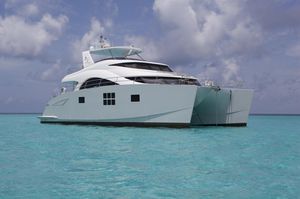 power catamaran motor yacht / cruising / high-speed / flybridge
