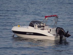 inboard runabout / dual-console / 6-person max. / with cabin