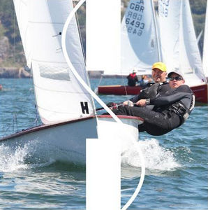 mainsail / for sailing dinghies