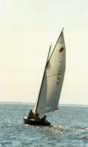 jib / for one-design sport keelboats