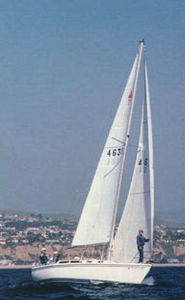 mainsail / headsail / for cruising sailboats / cross-cut