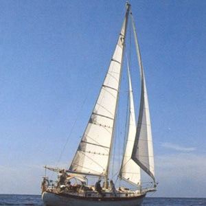 mainsail / headsail / for cruising sailboats / cross-cut