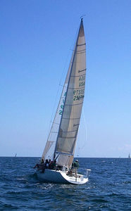 mainsail / headsail / for racing sailboats