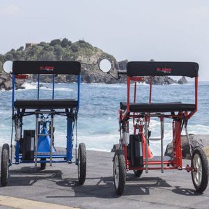folding scooter / electric